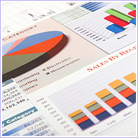 Search Engine Optimisation (SEO) Report - $795.00